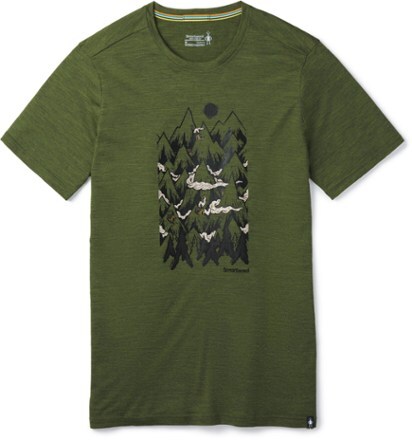 Smartwool Merino Sport 150 Mountain Ventures T-Shirt - Men's | REI Co-op