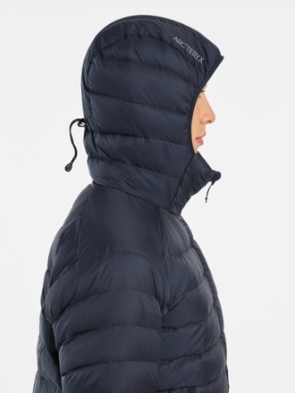 Arc'teryx Cerium Down Hoodie - Men's 3