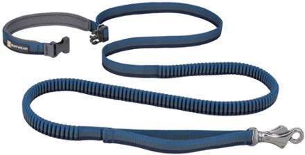 Roamer Leash