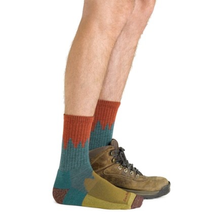 Darn Tough Number 2 Micro Crew Cushion Socks - Men's 2