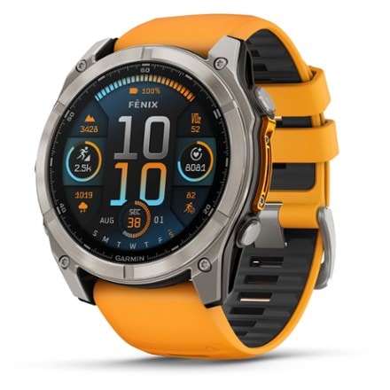 Garmin Fenix REI Co op