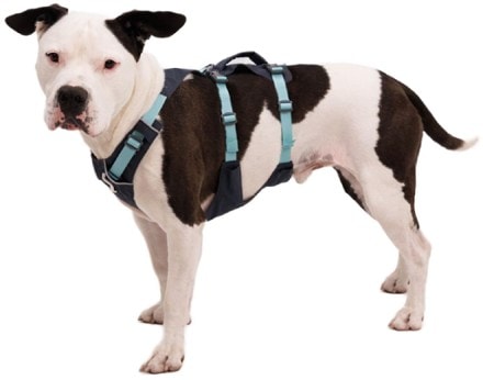 Ruffwear Flagline Dog Harness 4