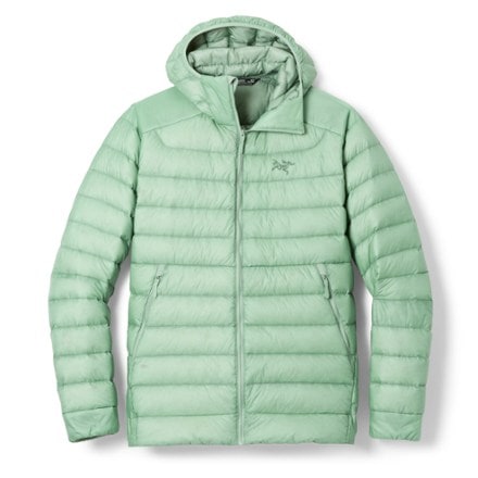Arc'teryx Cerium Down Hoody - Men's 0