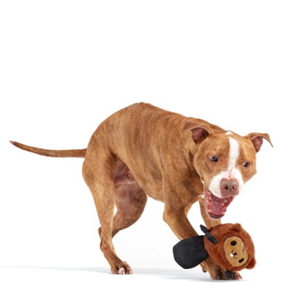Bark National Park Plush Dog Toy 3