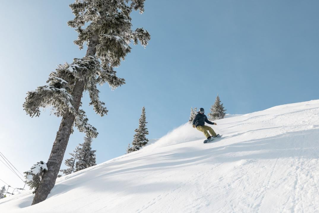 Location Image for Family Tree Alekesam Snowboard - 2025/2026