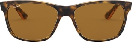 Ray-Ban RB4181 Polarized Sunglasses 2
