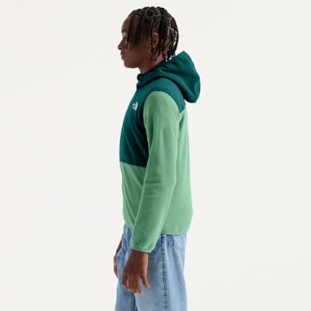 The North Face Glacier Full-Zip Hoodie - Kids' 4