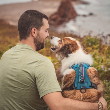 Wilderdog Dog Harness 1