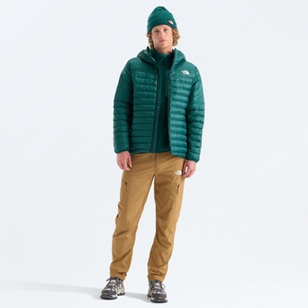 The North Face Terra Peak Insulated Hoodie - Men's 2