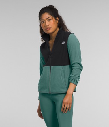 The North Face Alpine Polartec 100 Jacket - Women