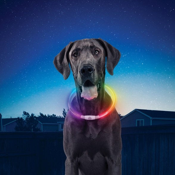Location Image for Nitehowl Rechargeable LED Safety Necklace