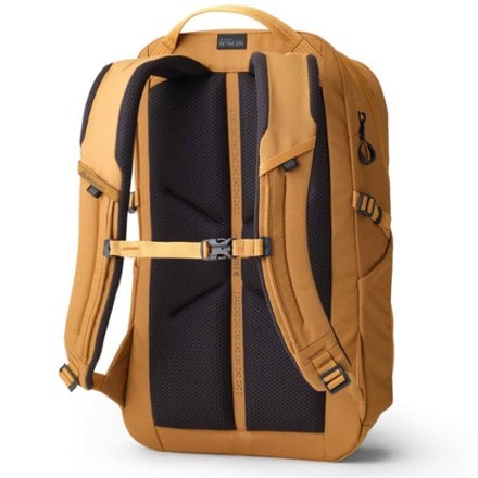 Gregory Terros 25 Pack 1