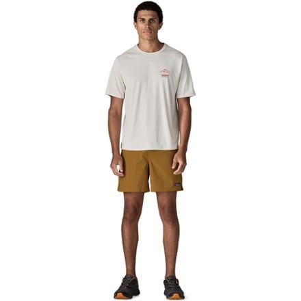 Patagonia Baggies Lights 6" Shorts - Men's 3