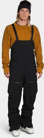 mentaal teleurstellen Verdikken The North Face Purist Bib Pants - Men's | REI Co-op