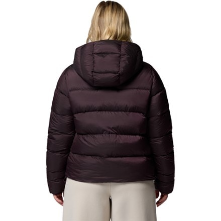 Columbia Amaze Puff Down Hooded Jacket - Women's 3