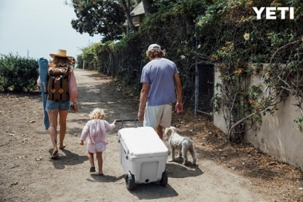 Yeti Tundra Haul 45-Can 2-Wheeled Cooler, Seafoam - Groom & Sons