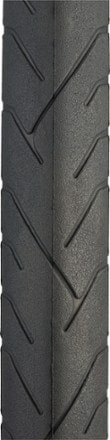 Panaracer RiBMo ProTite Tire 1