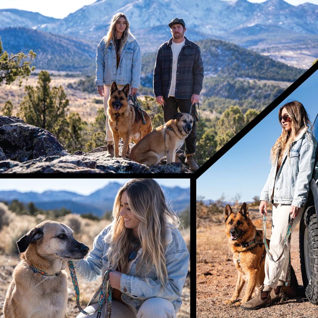 Location Image for WildWolf Collar