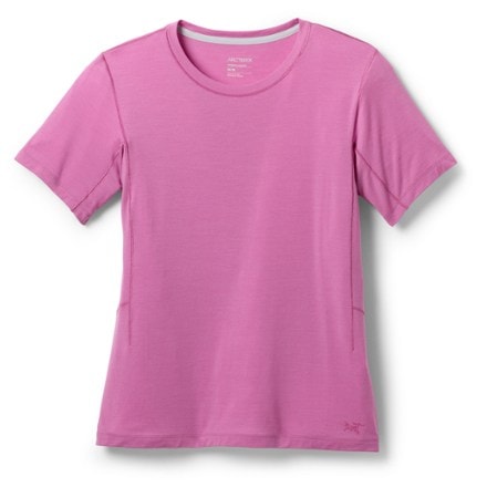 Arc'teryx Lana Merino Wool Crew Base Layer Top - Women's 0