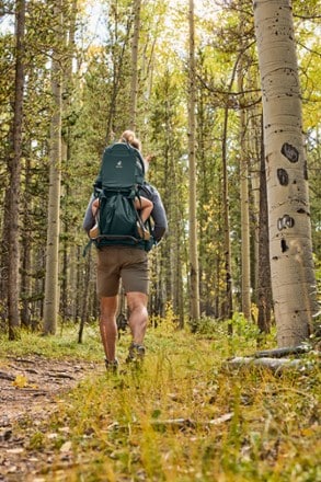 Location Image of color Forest