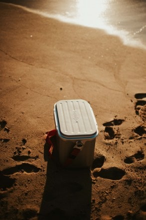 Oyster Tempo Cooler 10
