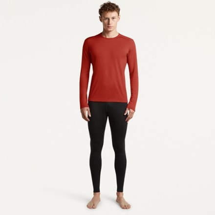 Icebreaker Merino 260 Tech Long-Sleeve Crewe Thermal Top - Men's 2