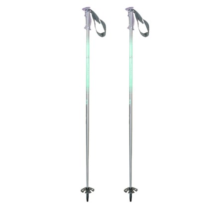 The "Ski Pole" Ski Poles - Pair