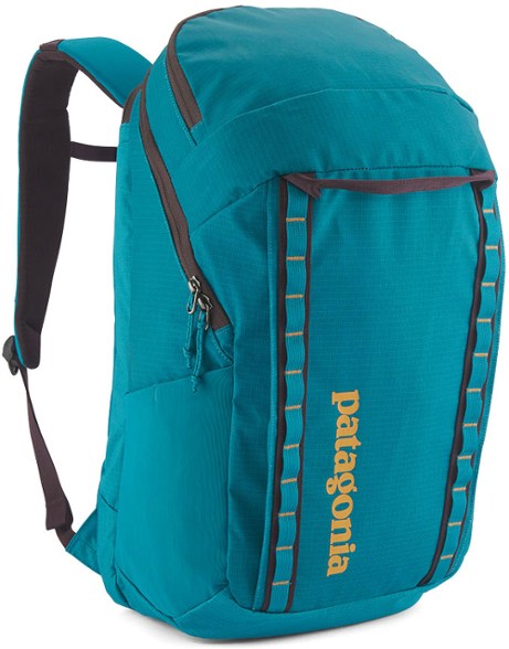 Patagonia backpack rei Clearance