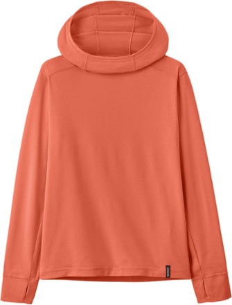 Patagonia sales pumice hoodie