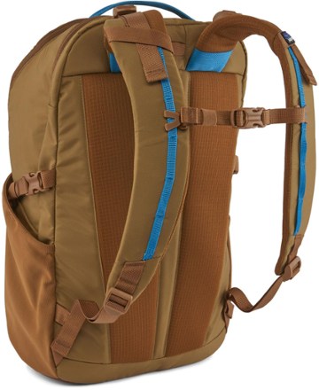 Detail Image of color Coriander Brown