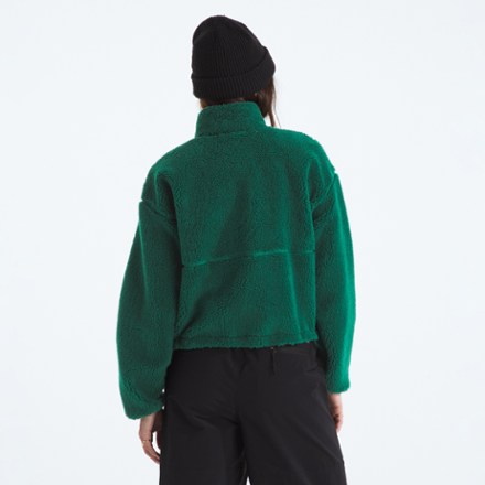 The North Face Extreme Pile Pullover 2 - Women's 2