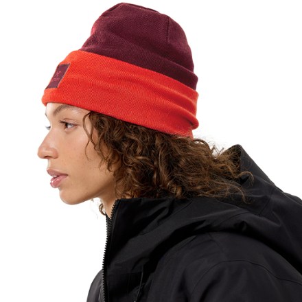 Arc'teryx Color Block Toque 3