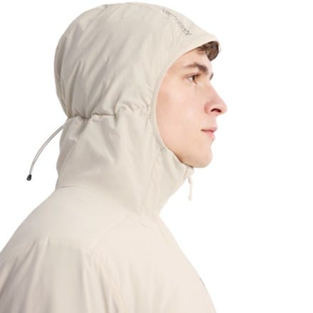 Arc'teryx Atom SL Hoody - Men's 7