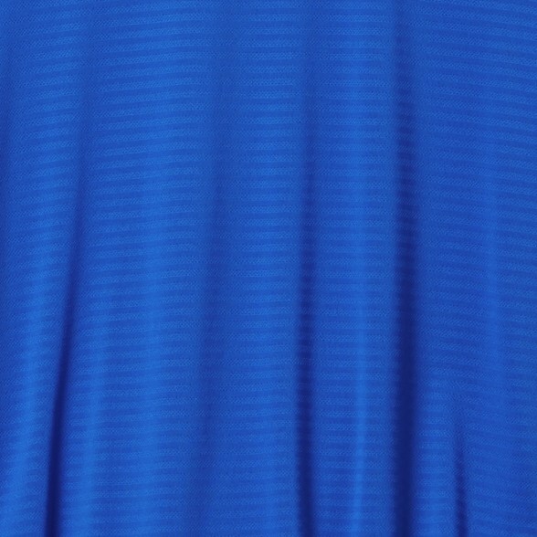 Swatch Image of color Royal