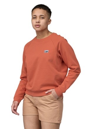 Patagonia men's crew neck sales sweatshirts