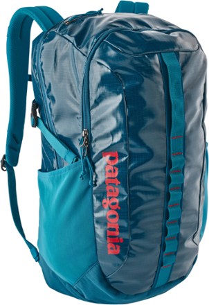 Patagonia Black Hole Pack - 30L