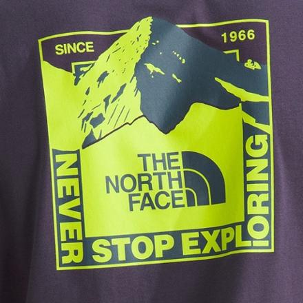The North Face Mountain Scape T-Shirt - Men's | REI Co-op