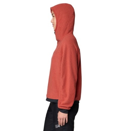 Mountain Hardwear Summit Grid Big Grid Hoody - Women's 2