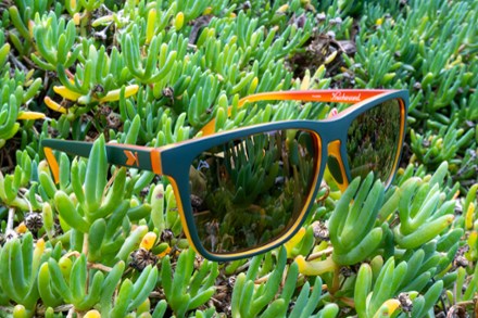 Location Image for AllTrails Polarized Sunglasses