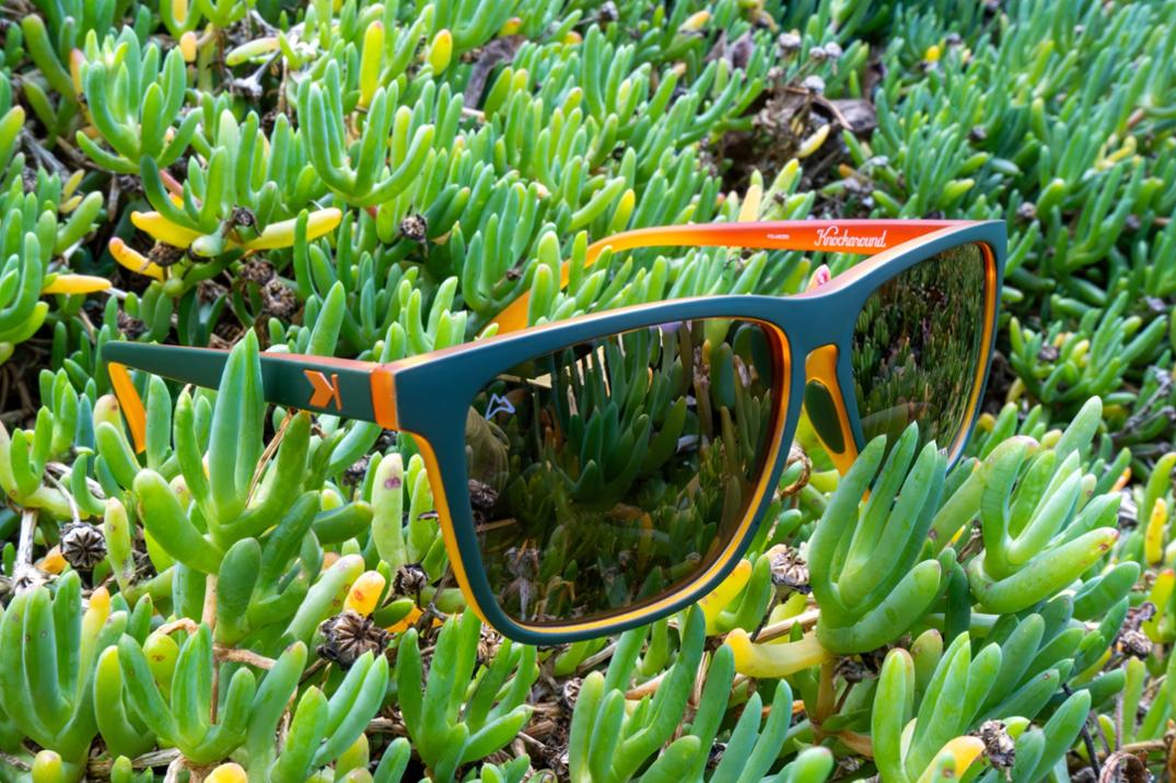 Location Image for AllTrails Polarized Sunglasses