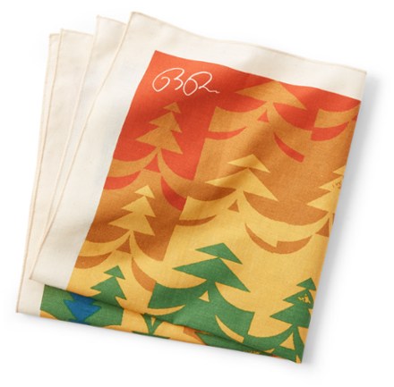 REI Co-op Pride Graphic Bandana 4