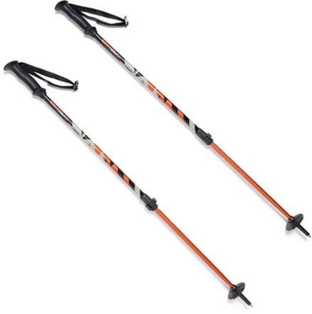 REI Co-op Tarn Trekking Poles - Pair - Kids