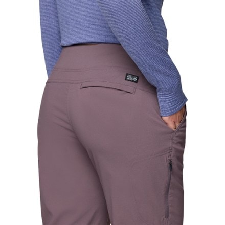 Mountain Hardwear Dynama Ankle Pants - Women's 6