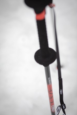 Location Image of color Red/Black