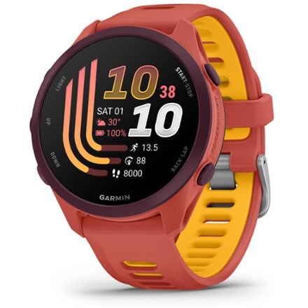Garmin Forerunner 170 Music 0