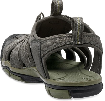 Back View (Raven/Tortoise Shell)