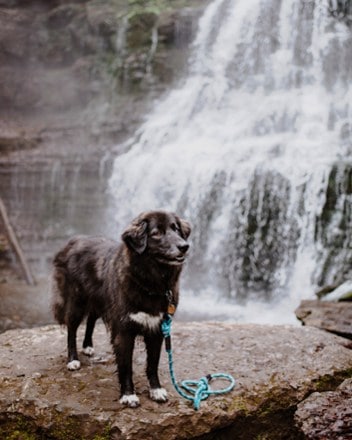 Wilderdog Rope Reflective Leash 1