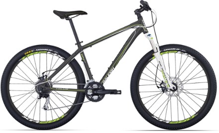 raleigh 29 inch mountain bike