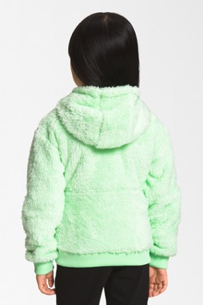 The North Face Suave Oso Full-Zip Fleece Hoodie - Toddlers' 1