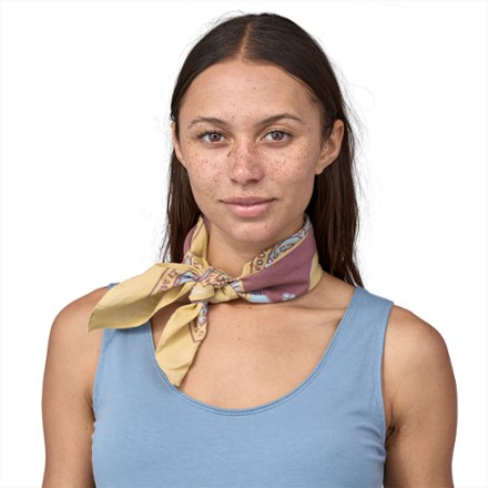 Patagonia Bandana 2